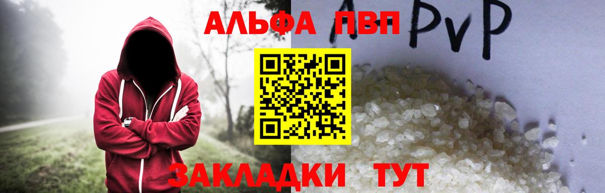 Альфа ПВП СК Гудермес